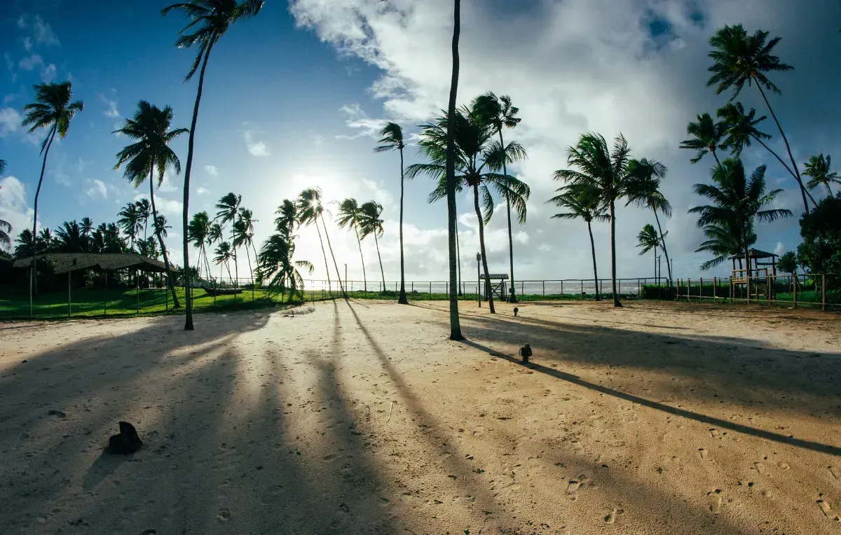 Imagem da galeria de Praia do Forte